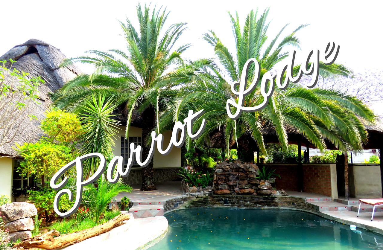 Parrot Lodge Bulawayo Esterno foto